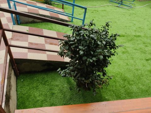 शितला मा.वि.को इसिडि (नर्सरी, एलकेजी र युकेजी) ब्लक "बि" २०८०